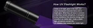 Adjustable Rechargeable UV Flashlight Black Light 21LED 12LED Handheld Portable Torch Light Ultraviolet Flashlight Detector Flashlight Torch For Bed Bug Dog Urine Pet Stains Matching With Pet Odor Eliminator