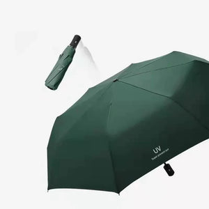 Auto-Open Umbrella