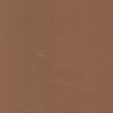 Modern Leather Sofa - Caramel by Couch.com