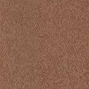 Modern Leather Sofa - Caramel by Couch.com