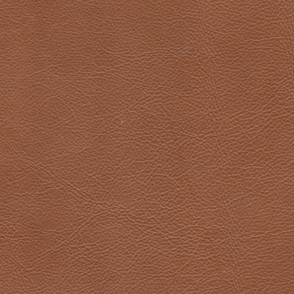 Mid-Century Tufted Leather Chair by Couch.com