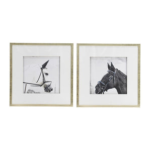 Wall Art Horse Animal Printing, Wall Decor Accent (Set of 2) - Golden / White by Couch.com