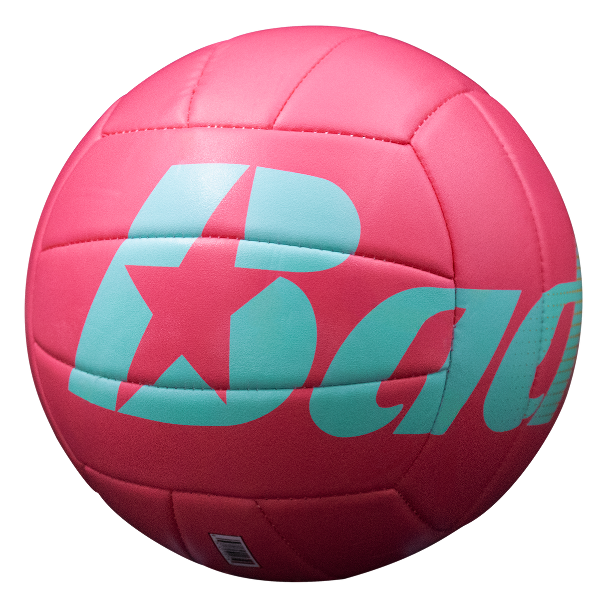 Baden Paradise Volleyballs