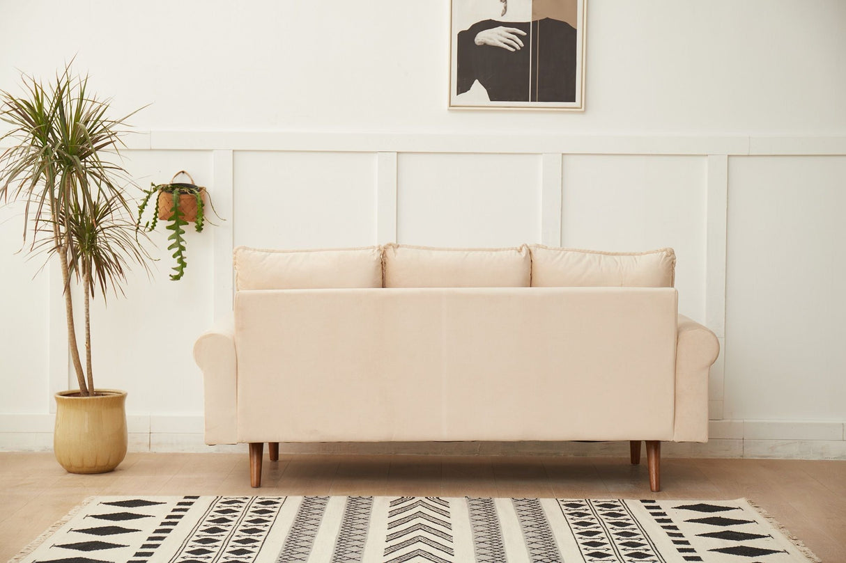 Graceful Design Plush Comfort Sofa by Couch.com
