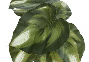 13" Tall, Artificial Plant, Monstera Calthea, Indoor, Faux, Fake, Table, Greenery, Potted, Decorative (Set of 2) - Green / Black