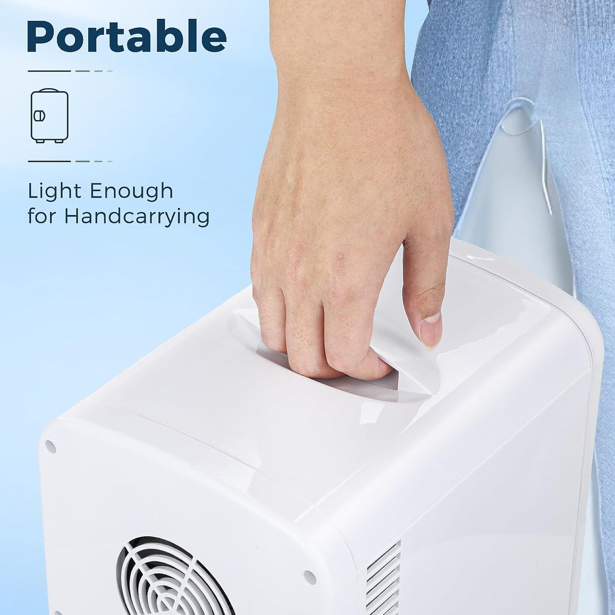 Compact Refrigerator, Portable Mini Fridge, Skin Care 4L Capacity/6 Cans F3404