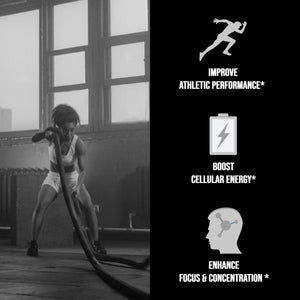 Micronized Creatine Monohydrate 400 G