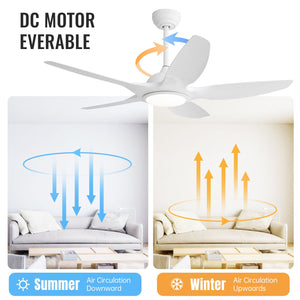 Indoor Ceiling Fan With 5 ABS Blades Remote Control Reversible Dc Motor For Living Room by Couch.com