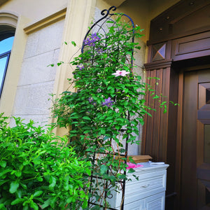 Metal Garden Rustproof Trellis For Climbing Plants Outdoor Flower Support by Couch.com