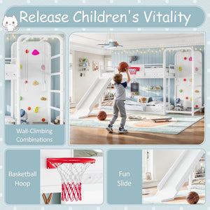 27337124