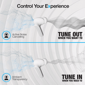 Active Noise Cancelling True Wireless Earbuds with Wireless Charging Case