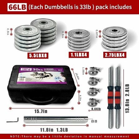 Adjustable Dumbbell Set Home Gym Cast Iron Barbell Sets with Carry Box 66lbs Office Bedroom Workout Dumbbells for Men and Women