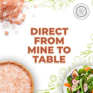 Pride Of India - Pure Himalayan Pink Salt - Enriched w/ 84+ Natural Minerals; Fine Grind 5 Pound Jar