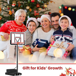 Portable Basketball Hoop Adjustable Basketball Goal System