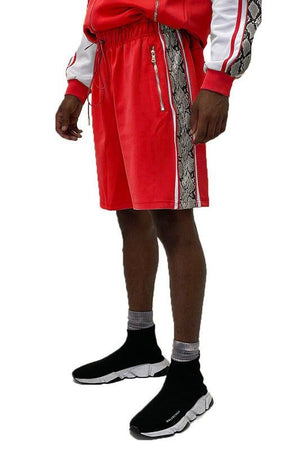 Trendy Snake Print Summer Shorts for Women - Chic Fashionable Style