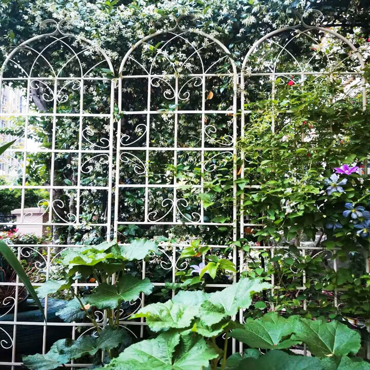 Metal Garden Rustproof Trellis For Climbing Plants Outdoor Flower Support by Couch.com