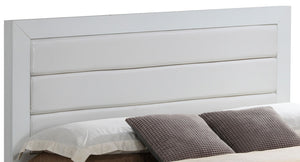 Transitional Modern Design Bed by Couch.com
