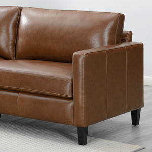 Modern & Contemporary Leather Sofa by Couch.com