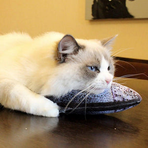 Electric Cat Toy 3D Fish USB Charging Simulation Fish Cat Toys for Cats Pet Toy cat supplies Pet Catnip Toy Moving Cat Kicker Fish Realistic Plush Electric Wagging Fish Motion Kitten Toy Funny Interactive Fish Cat Toys for Cat Exercise