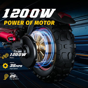 FREEBOY J11  Electric Scooter