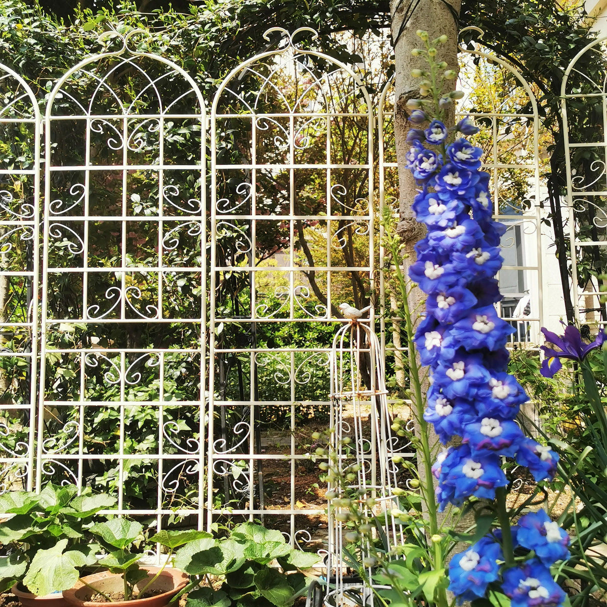 Metal Garden Rustproof Trellis For Climbing Plants Outdoor Flower Support by Couch.com