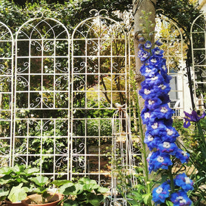 Metal Garden Rustproof Trellis For Climbing Plants Outdoor Flower Support by Couch.com