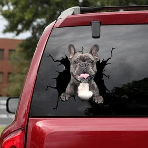 Funny Dog Head In The Crack Vinyl Car Funny Dog Head In The Crack Vinyl Car Stickers Decals Motorcycle Accessories Car-window Decorative Goods Broken Glass Sticker Car Stickers Decals Motorcycle Accessories Car-window Decorative Goods Pvc Car Sticker