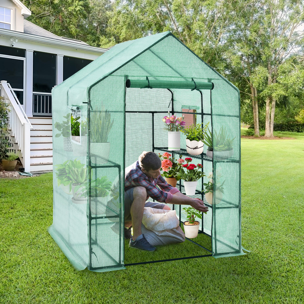 Walk-in Greenhouse 56 x 56 x 77 Inch Gardening with Observation Windows-Green