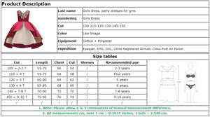 Elegant Dress For Girls