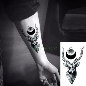 Lion King Temporary Tattoo Waterproof Black And Colorful Small Big Luxury Tattoo For Mens Womens