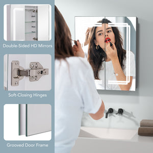 2 Doors Bathroom Mirror Medicine Wall Cabinet with Lights