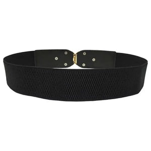 Modern Wide Fabric Strap Silver Metal Buckle Belts For Women Trendy Fashion Stretchable Classic Belts