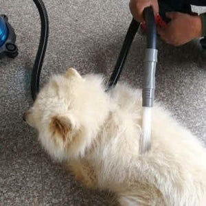 Multifunction Dust Vacuum Cleaner