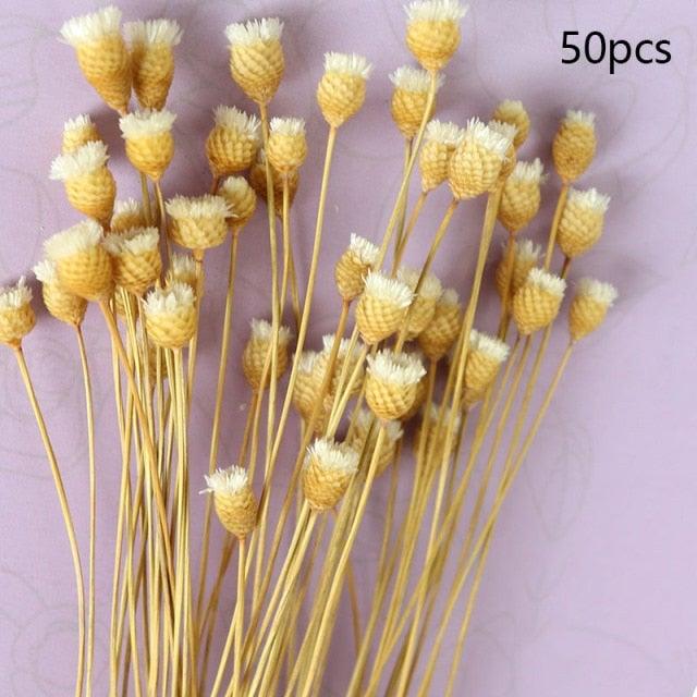 Natural Gypsophila Dried Flowers Mini Babysbreath Flower Preserve Floral  Decor Bouquet Wedding Party Home Backdrop Decor 12cm