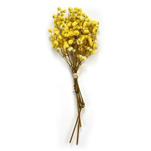 Natural Gypsophila Dried Flowers Mini Babysbreath Flower Preserve Floral  Decor Bouquet Wedding Party Home Backdrop Decor 12cm