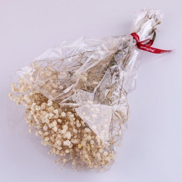 Natural Gypsophila Dried Flowers Mini Babysbreath Flower Preserve Floral  Decor Bouquet Wedding Party Home Backdrop Decor 12cm