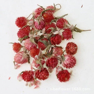 Natural Gypsophila Dried Flowers Mini Babysbreath Flower Preserve Floral  Decor Bouquet Wedding Party Home Backdrop Decor 12cm