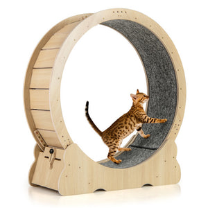 40 Inch Large Cat Exercise Wheel with Lockable Mechanism and Carpeted Runaway for Indoor Cats-Natural