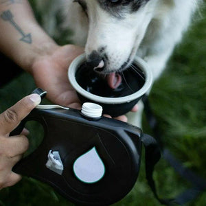 New 3 IN 1 Multifunctional Colorful Pet Leash With Built-in Water Bottle Bowl And Waste Bag Dispenser Modern Design For All Pets