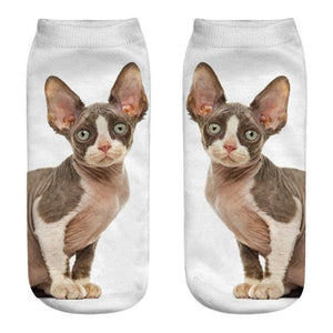 New Cartoon Cat Socks 3D Print Art Funny Socks Women Cute Low Cut Ankle Socks Made o Pure Cotton Short Socks Trending Fashion Short Ankle Socks For Men And Women