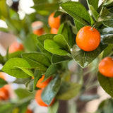 Faux Tangerine Tree, Choose Your Size