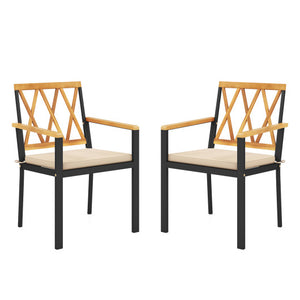 Set of 2 Patio Dining Chairs with Removable Padded Cushions-18 Inches