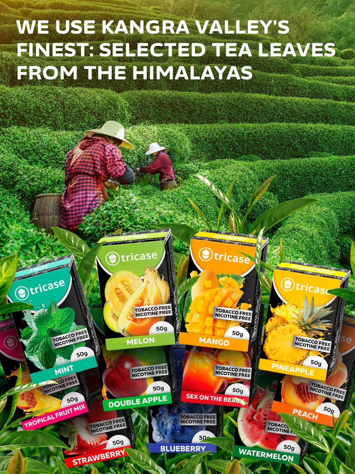 Shisha Hookah fruitage set Shisha Flavors 100 Gram Set fruitage Flavor Hookah