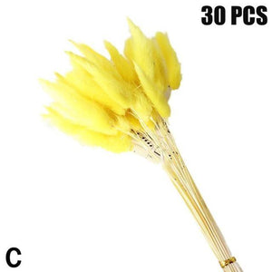 Real Dried Grass Reed Flower Natural Dry Small Bulrush Bouquet Pampas Reeds Home Decoration Wedding Decor Pompass Grass Branches for Vase Artificial Grass Room Décor Wedding Decorations