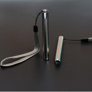 Stainless Steel Mini Pocket UV Black Light Flashlight Led Lamp Portable Flashlight Ultraviolet Pen Lights For Leak Pet Urine Bed Bug  Dry Stain & Dye Detector Marker Checker Detection