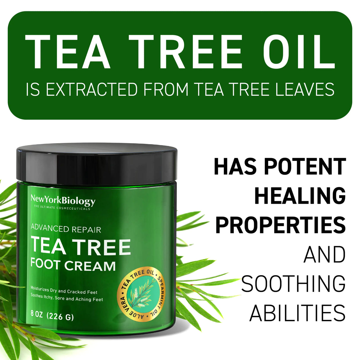 New York Biology Tea Tree Oil Foot Cream for Dry Cracked Feet, Athletes Foot, Nail Fungus, Jock Itch, Ringworm, Cracked Heels and Itchy Skin - Foot Cream - 8 oz Tea Tree - 8.00 Ounce (Pack of 1) 8.00 Ounce (Pack of 1)