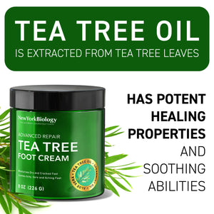 New York Biology Tea Tree Oil Foot Cream for Dry Cracked Feet, Athletes Foot, Nail Fungus, Jock Itch, Ringworm, Cracked Heels and Itchy Skin - Foot Cream - 8 oz Tea Tree - 8.00 Ounce (Pack of 1) 8.00 Ounce (Pack of 1)