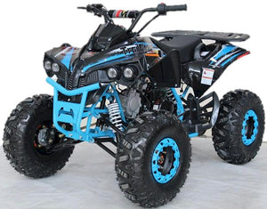 TrailMaster C125 125cc Sport ATV, Automatic with Reverse, 8-inch Wheels, Ages 9-12