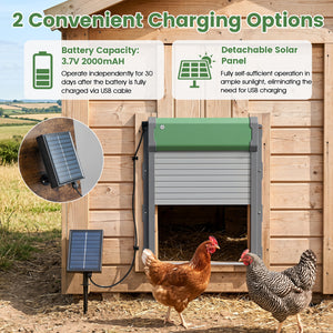 Automatic Chicken Coop Door with Remote Control and Light Sensor Timer
