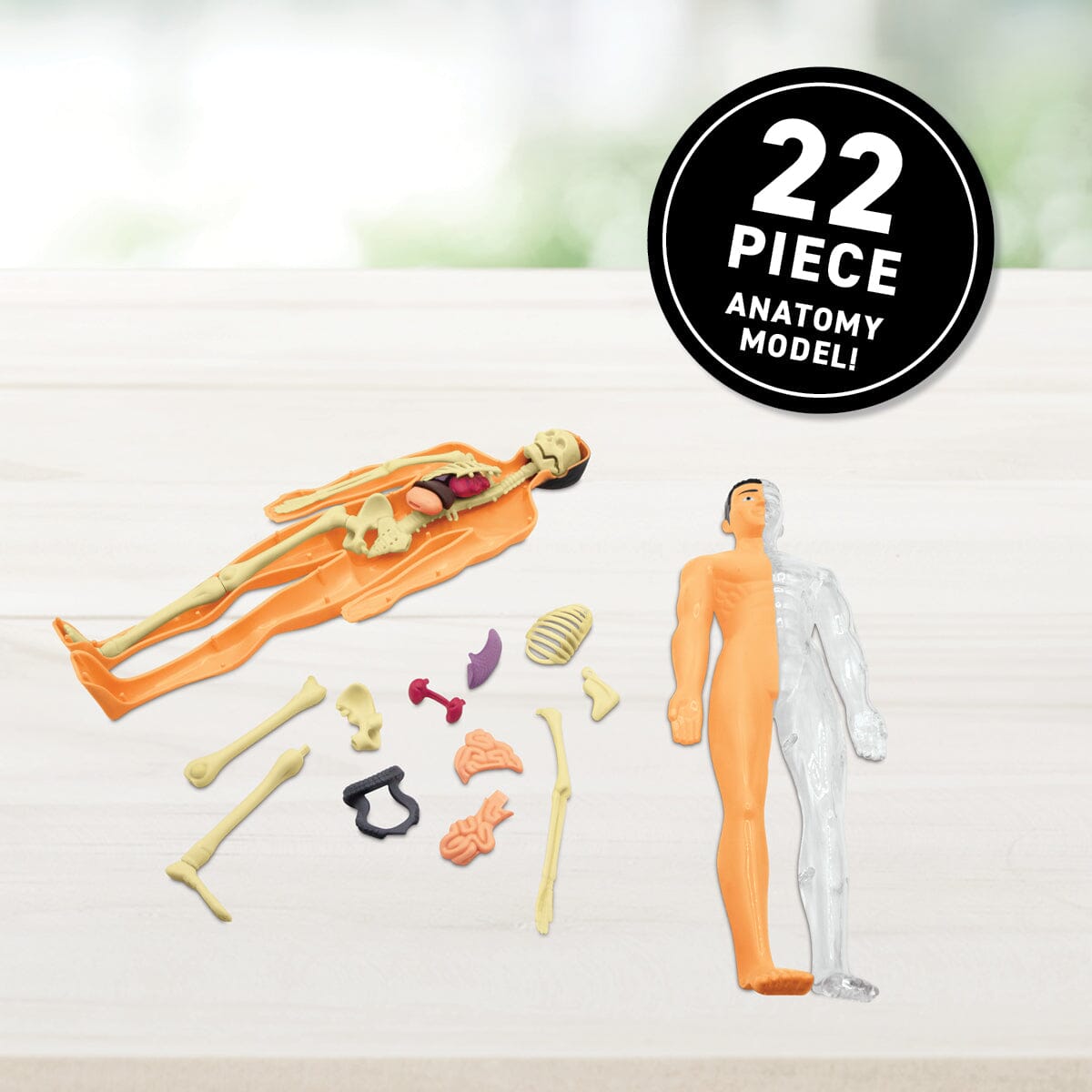 Virtual Reality Human Body Discovery Gift Set w/ DK Book